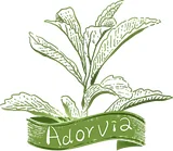 Adorvia Biotechnology (Shanghai) Co., Ltd. logo
