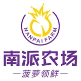 Guangdong Nanpai Food Co., Ltd. logo