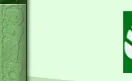 Sun-green Bio-tech Co., Ltd. logo