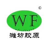Weifang Collagen Biotechnology Co., Ltd. logo